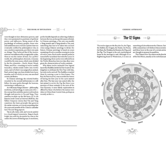 The Book of Divination A Guide to Predicting the Future Michael Johnstone NEW - Picture 5 of 7